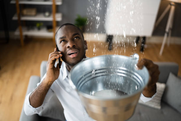 Best Flooded house restoration  in Lake Landor, VA